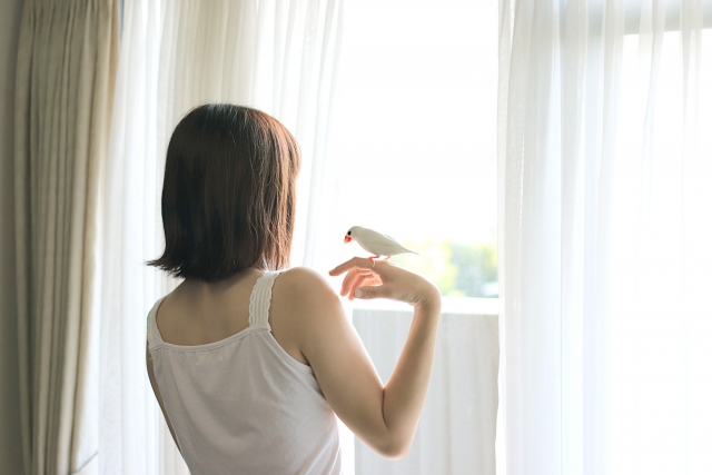朝、窓辺に立って光を浴びている女性